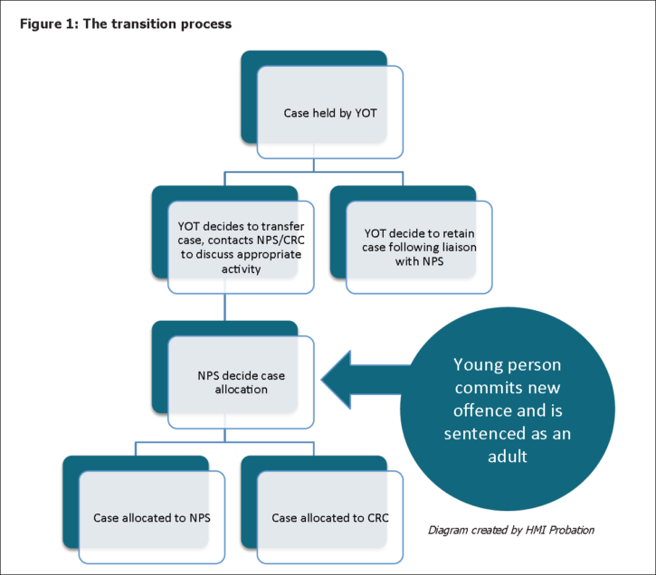 the transition process from young to adult offender