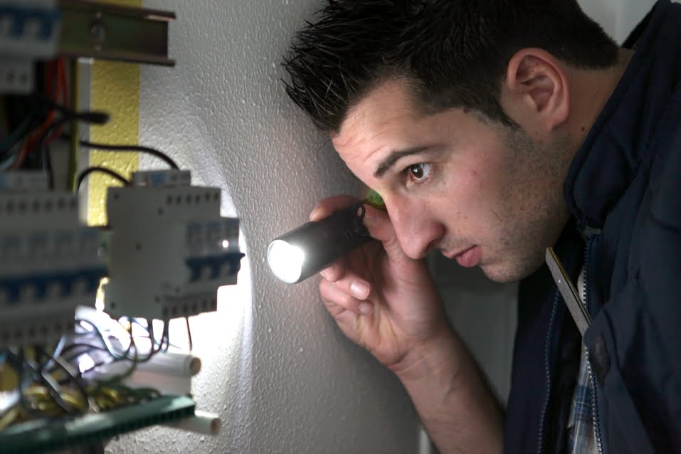 inspectors shining a light