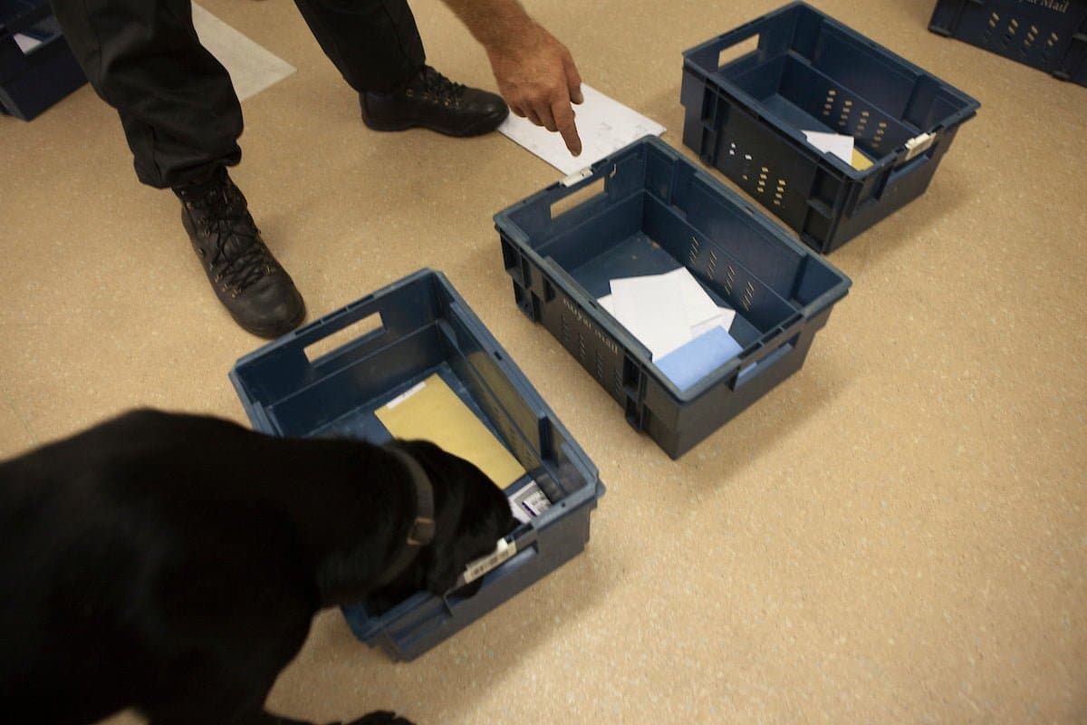 A sniffer dog searching post
